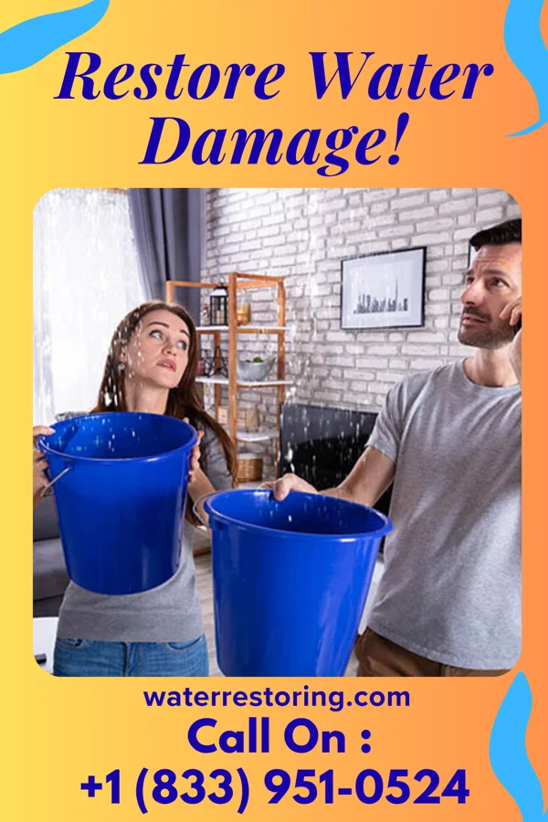 water restoration Southern Sewage Cleanup Solutions Bellview