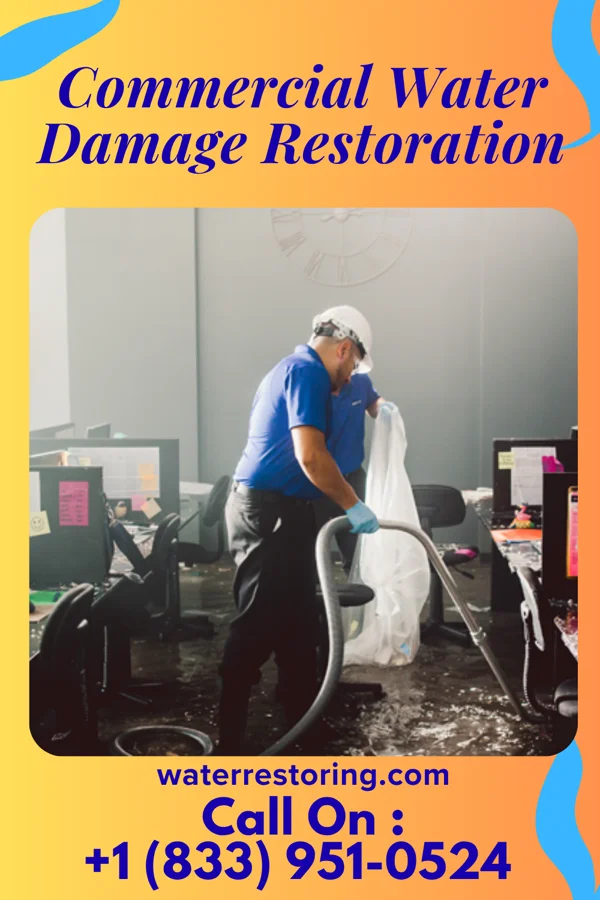 Commercial Water Damage Restoration in Bellview, FL
